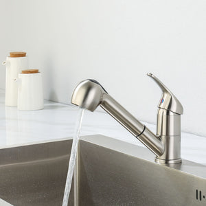 Theodor Kitchen Faucet