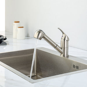 Theodor Kitchen Faucet