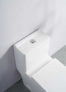 Clement One Piece Toilet