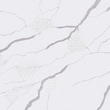 Load image into Gallery viewer, White Carrara Quartz

